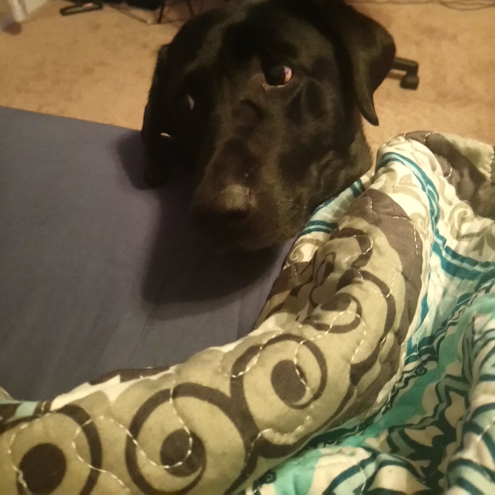 Meet your Posher, Ln